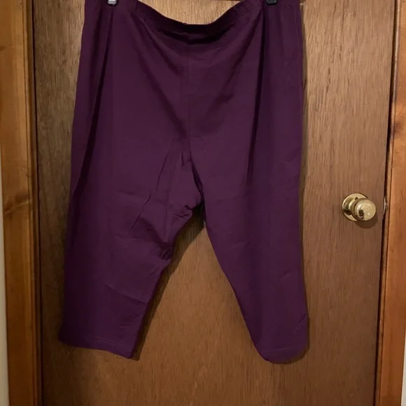 Woman’s Plus Size Capris - Picture 2 of 5